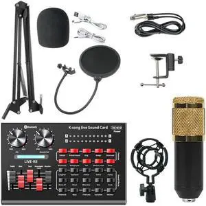 800 Microphone with R8 Sound Card 800 Microphone Professional Condenser Mic for PC Podcast Recording Gaming TikTok DJ