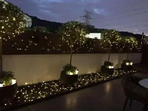 Home Decoration Courtyard Decoration Solar Energy Christmas Tree Color Lights Led Outdoor Waterproof String Flashing Lights Holiday Atmosphere Lights Restaurant And Hotel Decoration 52 m
