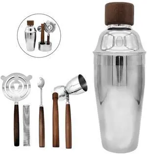 QLEE 6PCS Bartending Set With 550ml Cocktail Shaker Muddler Double Jigger Bar Spoon Strainer & Matte Stand Stainless Steel Barware Tools For Home & Professional Cocktail Mixing Party Club Pub