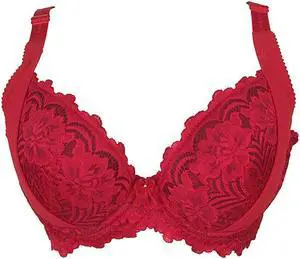 Sunna Character Underwire Bra/Push Up Bra/Shaper Bra/Lace Bra/T Shirt Bra/for Back and Side Support-1272-RD-34F