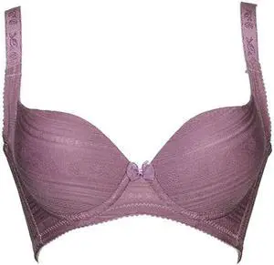 Sunna Character Underwire Bra/Push Up Bra/Shaper Bra/Lace Bra/T Shirt Bra/for Back and Side Support-5065-PU-32D