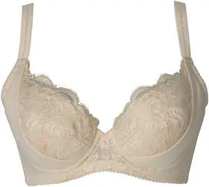 Sunna Character Underwire Bra/Push Up Bra/Shaper Bra/Lace Bra/T Shirt Bra/for Back and Side Support-1188-BE-32C