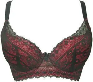 Sunna Character Underwire Bra/Push Up Bra/Shaper Bra/Lace Bra/T Shirt Bra/for Back and Side Support-5069-RED-32D