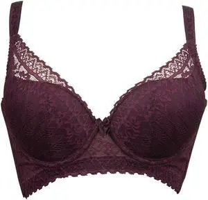Sunna Character Underwire Bra/Push Up Bra/Shaper Bra/Lace Bra/T Shirt Bra/for Back and Side Support-5075-BUR-32C