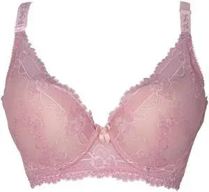 Sunna Character Underwire Bra/Push Up Bra/Shaper Bra/Lace Bra/T Shirt Bra/for Back and Side Support-5079-PK-32D