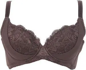 Sunna Character Underwire Bra/Push Up Bra/Shaper Bra/Lace Bra/T Shirt Bra/for Back and Side Support-1188-BR-32E