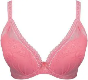 Sunna Character Underwire Bra/Push Up Bra/Shaper Bra/Lace Bra/T Shirt Bra/for Back and Side Support-8014-PEA-32D