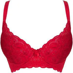 Sunna Character Underwire Bra/Push Up Bra/Shaper Bra/Lace Bra/T Shirt Bra/for Back and Side Support-5085-RD-38B