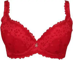 Sunna Character Underwire Bra/Push Up Bra/Shaper Bra/Lace Bra/T Shirt Bra/for Back and Side Support-1271-RD-32D