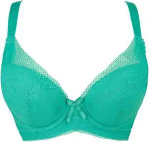 Sunna Character Underwire Bra/Push Up Bra/Shaper Bra/Lace Bra/T Shirt Bra/for Back and Side Support-1194-GRN-38C