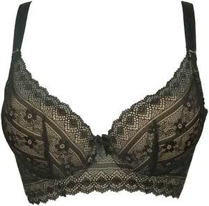 Sunna Character Underwire Bra/Push Up Bra/Shaper Bra/Lace Bra/T Shirt Bra/for Back and Side Support-5069-BL-32C