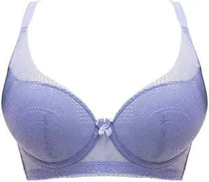Sunna Character Underwire Bra/Push Up Bra/Shaper Bra/Lace Bra/T Shirt Bra/for Back and Side Support-5089-PURPLE-34C