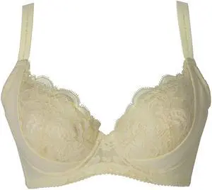 Sunna Character Underwire Bra/Push Up Bra/Shaper Bra/Lace Bra/T Shirt Bra/for Back and Side Support-1188-YW-32B