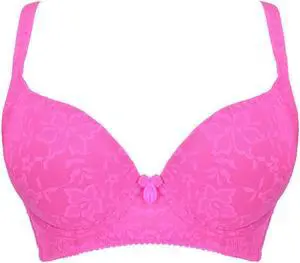 Sunna Character Underwire Bra/Push Up Bra/Shaper Bra/Lace Bra/T Shirt Bra/for Back and Side Support-5062-HPK-38B