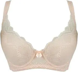 Sunna Character Underwire Bra/Push Up Bra/Shaper Bra/Lace Bra/T Shirt Bra/for Back and Side Support-8018-BE-32C