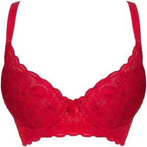 Sunna Character Underwire Bra/Push Up Bra/Shaper Bra/Lace Bra/T Shirt Bra/for Back and Side Support-5085-RD-34A