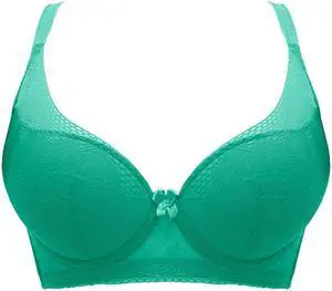 Sunna Character Underwire Bra/Push Up Bra/Shaper Bra/Lace Bra/T Shirt Bra/for Back and Side Support-5089-GRN-36B