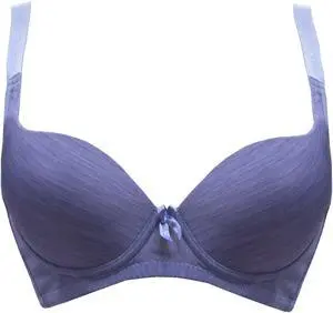 Sunna Character Underwire Bra/Push Up Bra/Shaper Bra/Lace Bra/T Shirt Bra/for Back and Side Support-8019-BL-40B