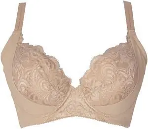 Sunna Character Underwire Bra/Push Up Bra/Shaper Bra/Lace Bra/T Shirt Bra/for Back and Side Support-1191-BE-40G
