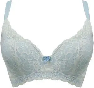 Sunna Character Underwire Bra/Push Up Bra/Shaper Bra/Lace Bra/T Shirt Bra/for Back and Side Support-5086-BL-32D