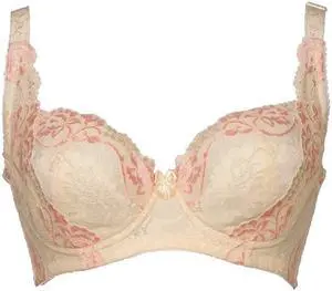 Sunna Character Underwire Bra/Push Up Bra/Shaper Bra/Lace Bra/T Shirt Bra/for Back and Side Support-1268-YW-38F