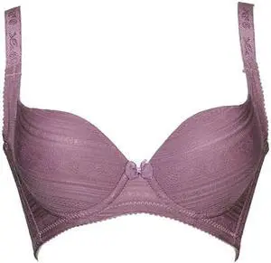 Sunna Character Underwire Bra/Push Up Bra/Shaper Bra/Lace Bra/T Shirt Bra/for Back and Side Support-5065-PU-32C