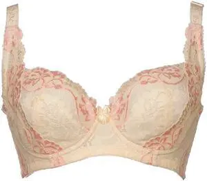 Sunna Character Underwire Bra/Push Up Bra/Shaper Bra/Lace Bra/T Shirt Bra/for Back and Side Support-1268-YW-32F