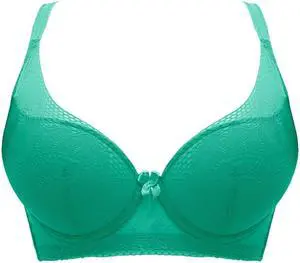 Sunna Character Underwire Bra/Push Up Bra/Shaper Bra/Lace Bra/T Shirt Bra/for Back and Side Support-5089-GRN-34D