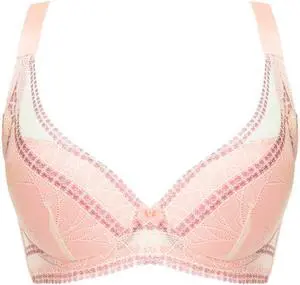 Sunna Character Underwire Bra/Push Up Bra/Shaper Bra/Lace Bra/T Shirt Bra/for Back and Side Support-8012-OG-38D