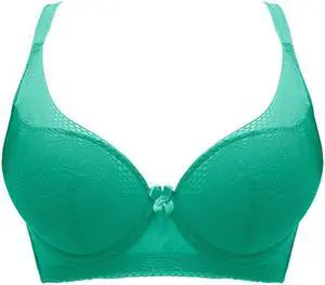 Sunna Character Underwire Bra/Push Up Bra/Shaper Bra/Lace Bra/T Shirt Bra/for Back and Side Support-5089-GRN-36C