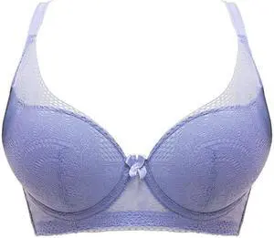 Sunna Character Underwire Bra/Push Up Bra/Shaper Bra/Lace Bra/T Shirt Bra/for Back and Side Support-5089-PURPLE-32C