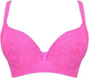 Sunna Character Underwire Bra/Push Up Bra/Shaper Bra/Lace Bra/T Shirt Bra/for Back and Side Support-5062-HPK-34C