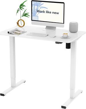 FlexiSpot Home Office Electric Height Adjustable Desk 48x30 Computer Desk  Ergonomic Standing Desk Computer Table White Desktop and White Frame 