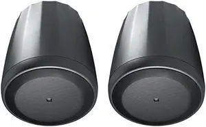 C65P/T Compact Full-Range Hanging Pendant Speaker, Black, Sold as Pair