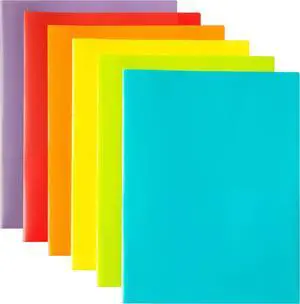 12 Pack Plastic Pocket Folders - Heavy Duty Plastic 2 Pocket Folder in 6 Colors