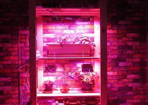 LED Grow Lights Full Spectrum,Plant LightsGrowing Lamps 12W for Indoor Plants,Hydropoincs
