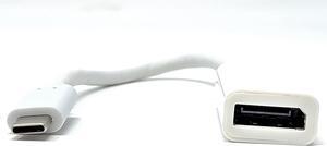 Micro Connectors  USB-C to DisplayPort Adapter (USB31-DP-9)