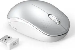 Wireless Mouse 2.4G Noiseless Mouse with USB Receiver - seenda Portable Computer Mice for PC Tablet Laptop and Windows/Mac/Linux (White & Silver)