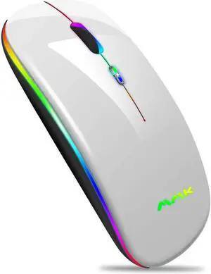 Bluetooth Mouse Dual-Mode Slim Rechargeable Wireless Mouse(Bluetooth 5.0+2.4G Receiver)1600DPI Portable Mouse for MacBookLaptops Windows 8Windows10Mac OS X 10.10iPad OS 13 or Later (Silver)