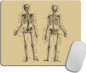 Human Skeleton Mouse Pad Rectangle - Human Anatomy Computer or Office Work Station Decor