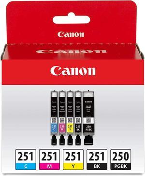 Canon PGI-250/ CLI-251 5 Color Amazon Pack