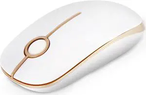 Wireless Mouse Vssoplor 2.4G Slim Portable Computer Mice with Nano Receiver for Notebook PC Laptop Computer (White and Gold)