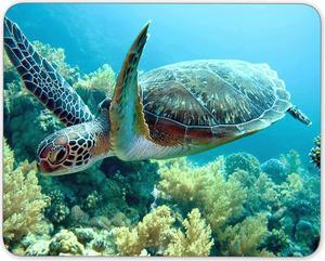 Green sea Turtle Mouse pad Natural Rubber Mouse Pad Quality Creative Wrist-Protected Wristbands Personalized Desk Mouse Pad (9.5 inch x 7.9 inch)