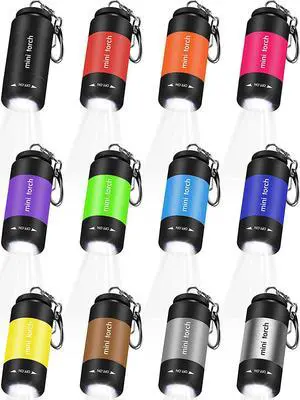 Mudder 12 Pieces Mini Keychain Flashlight Rechargeable Operation Christmas Bulk Plastic Small Torch Flashlight Handheld LED USB Rechargeable Waterproof for Camping Hiking Favor(White Light)