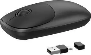 Gotying Wireless Mouse for Laptop 2 in 1 Cordless Portable Computer Mouse with 2.4G USB and Type-C Nano Receiver, Less Noise Mobile Optical Mice for MacBook, Notebook, PC, ipad and Smartphone (Grey)