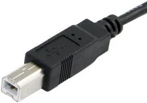 Xiwai Cable USB-C USB 3.1 Type C Male to USB 2.0 B Type Male Data Cable for Cell Phone & Mac & Laptop