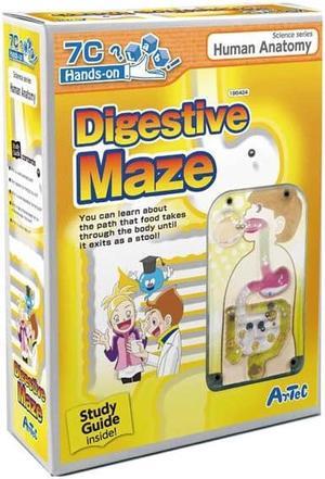 196424 - DIGESTIVE MAZE WITH GUIDEBOOK