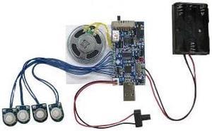 USB6M - RECORDING MODULE 300SEC W/LIGHT SENSOR AND USB