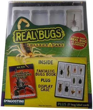 1020 - REAL BUGS COLLECT A CASE WITH LABEL CARDS