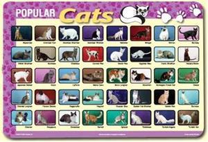 PLP-CAT-1 - PLACEMAT POPULAR CATS